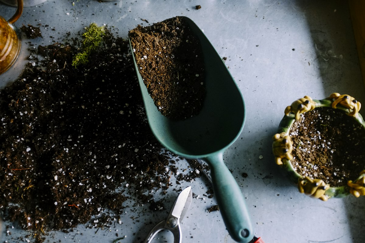 Jardineras de concreto con vegetación en un entorno urbano